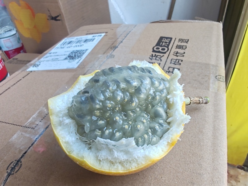哥伦比亚热情果