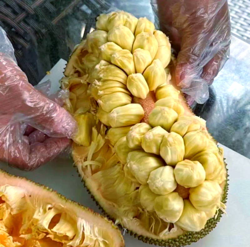 海南榴莲蜜