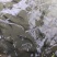 香鱼