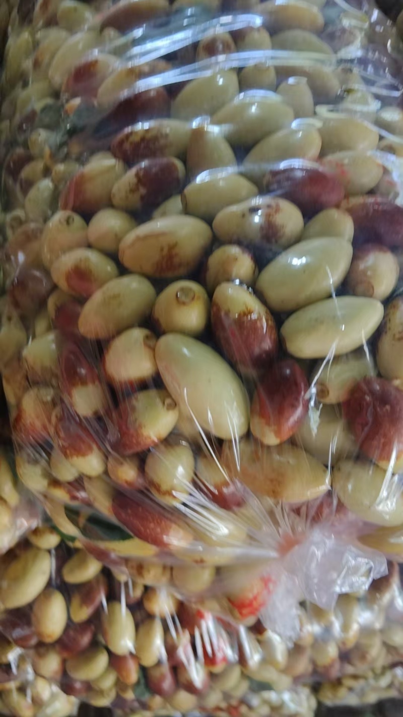 河北马牙枣