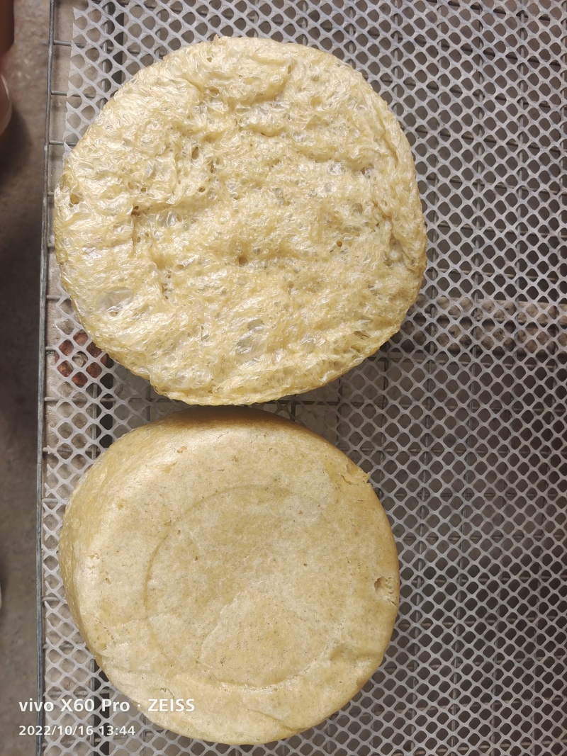 河南鲜面筋素肠
