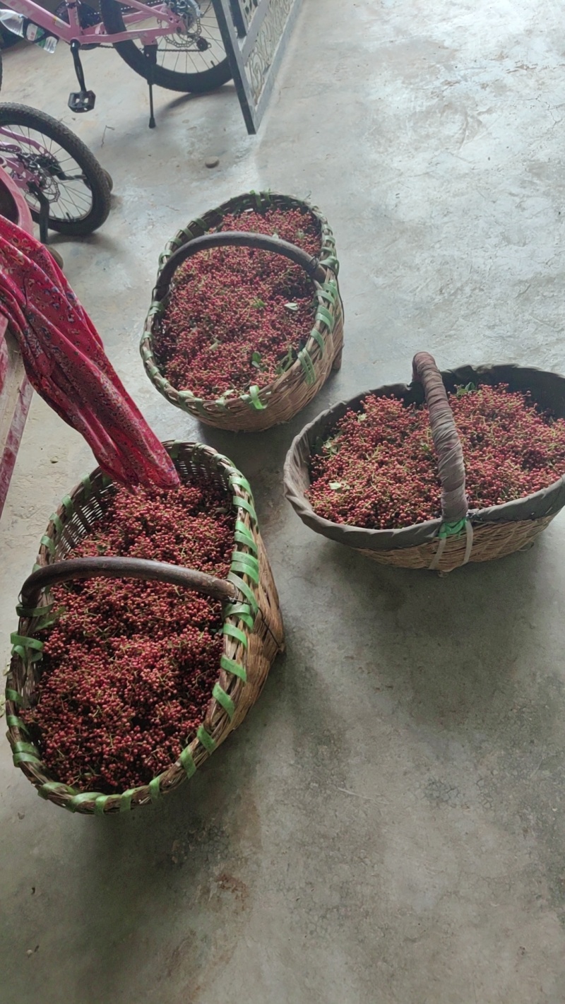 富平大红袍干花椒