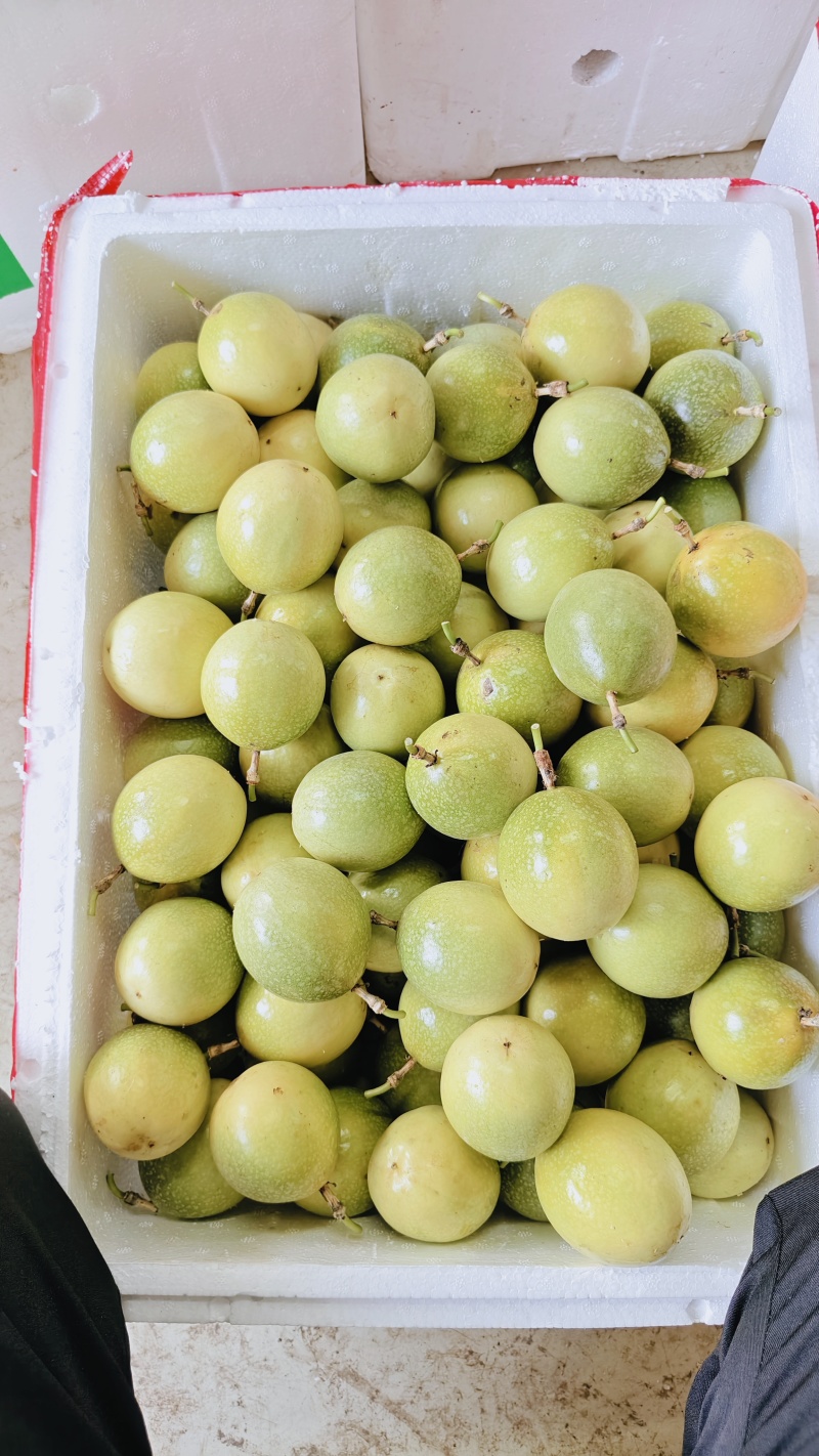 从江百香果