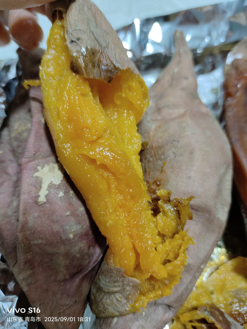 山东烟台昆嵛山山脚下沙土烟薯25地瓜🍠，软糯香甜口感