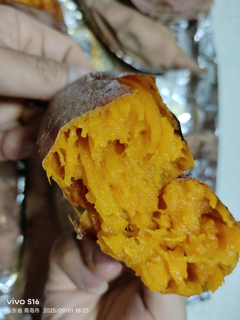 山东烟台昆嵛山山脚下沙土烟薯25地瓜🍠，软糯香甜口感