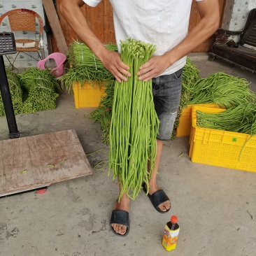 缸豆