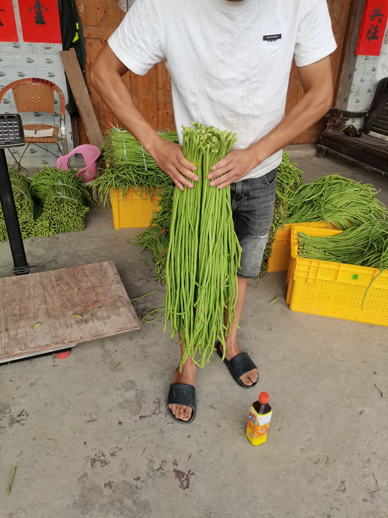 缸豆