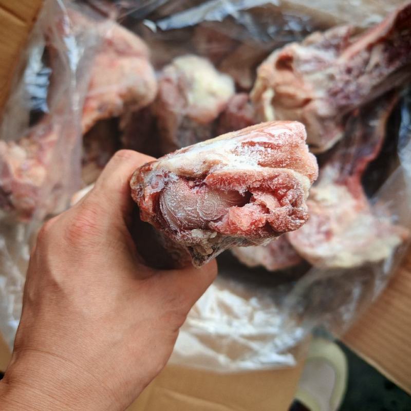 襄大后棒骨