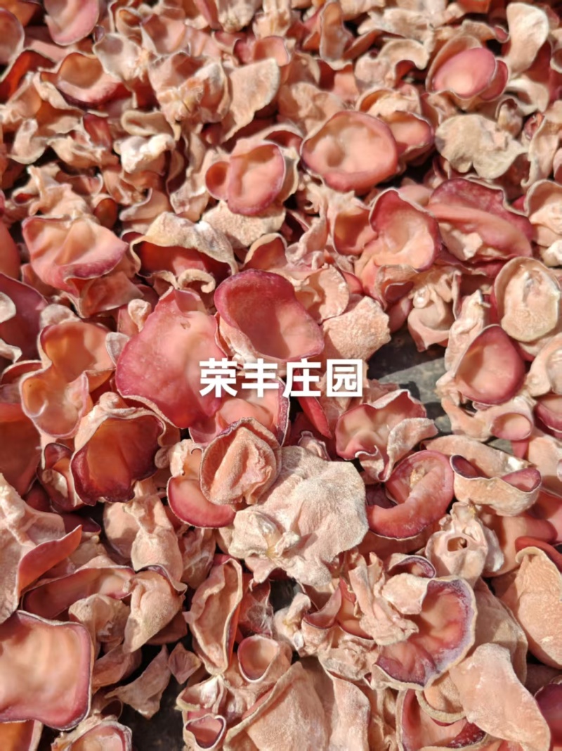 粉木耳◆精品大货●各种规格齐全❥售后质量有保障◆长久合作