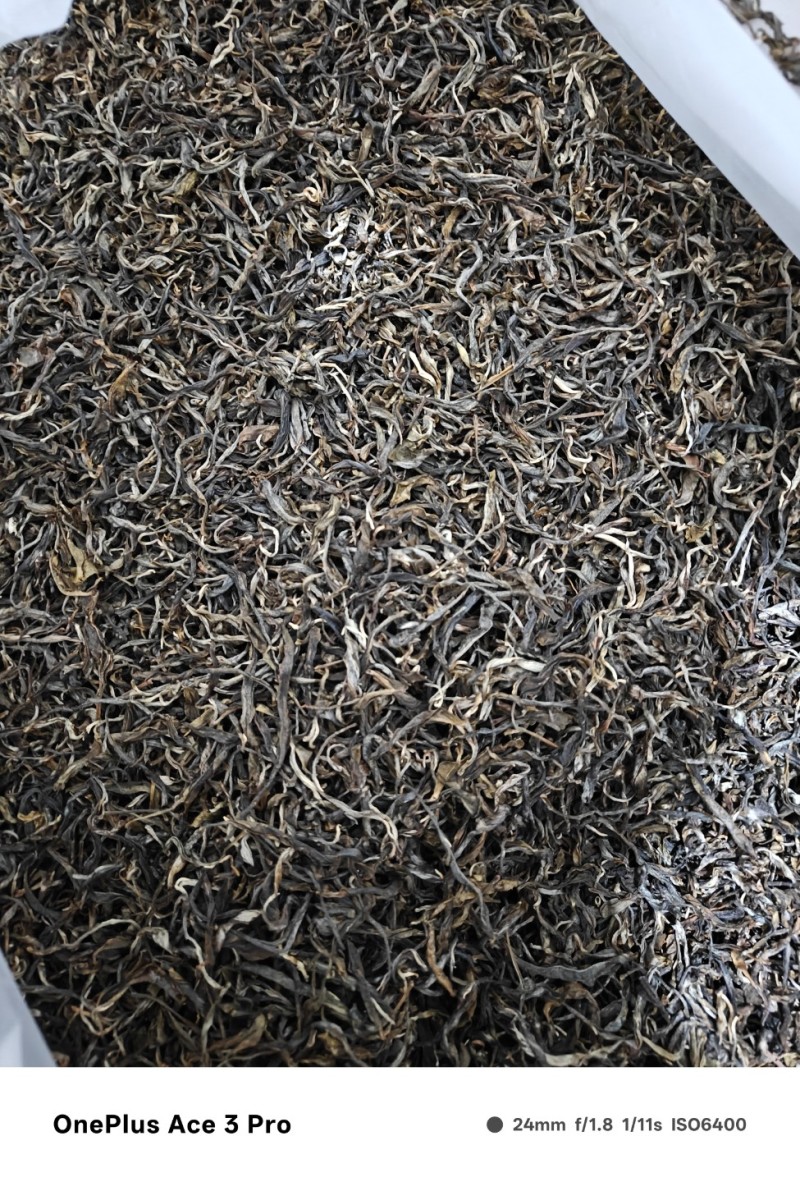 普洱自家自产自销古树茶