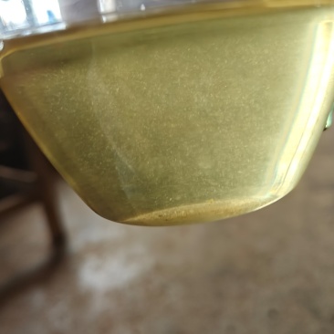 普洱自家自产自销古树茶