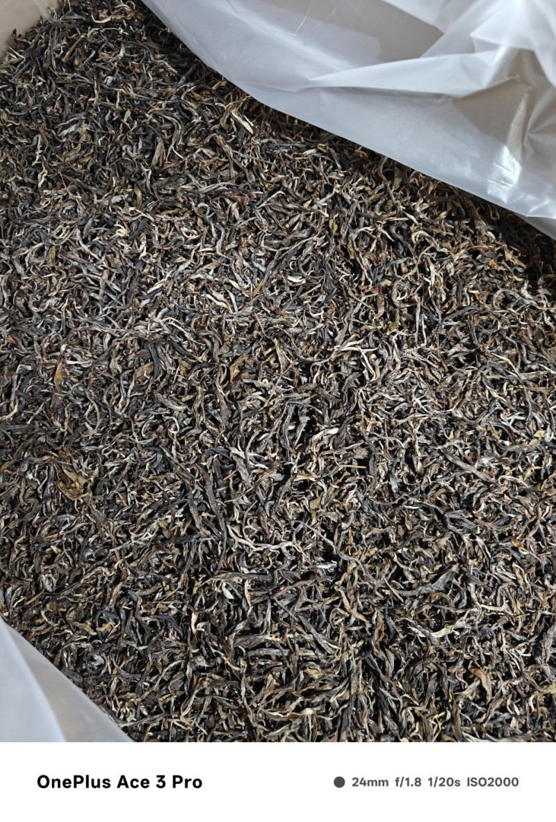 普洱自家自产自销古树茶