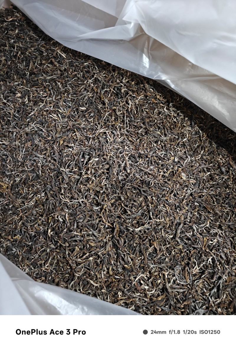 普洱自家自产自销古树茶