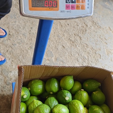 柠檬