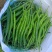 大量有货，产地直发，保质保量