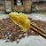 甘肃天水土蜂蜜