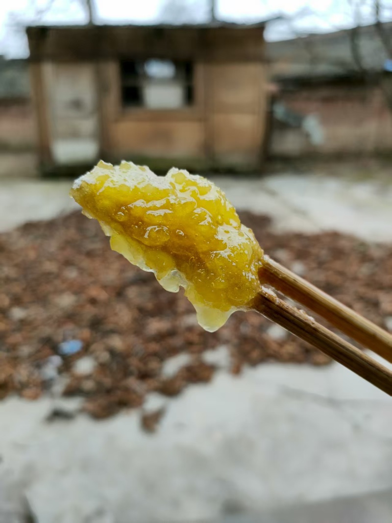 甘肃天水土蜂蜜