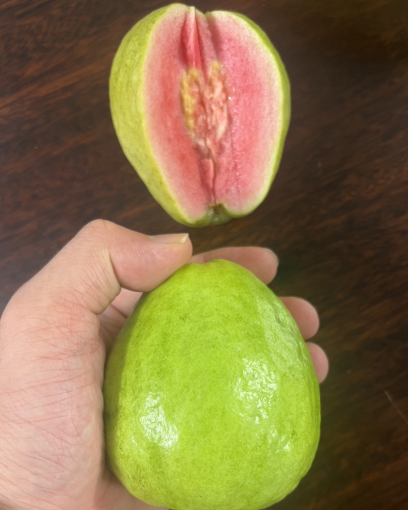 好吃不贵红心白心都有