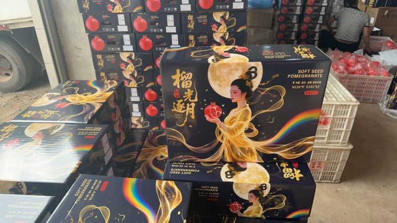 会理突尼斯软籽石榴