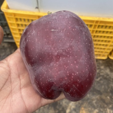 天水花牛，红富士，黄元帅