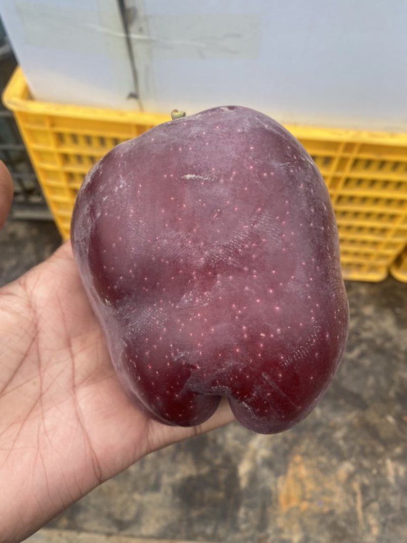 天水花牛，红富士，黄元帅