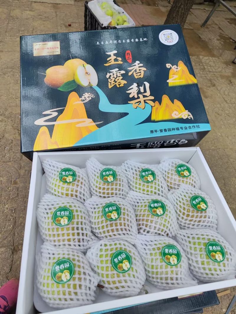 玉露香梨