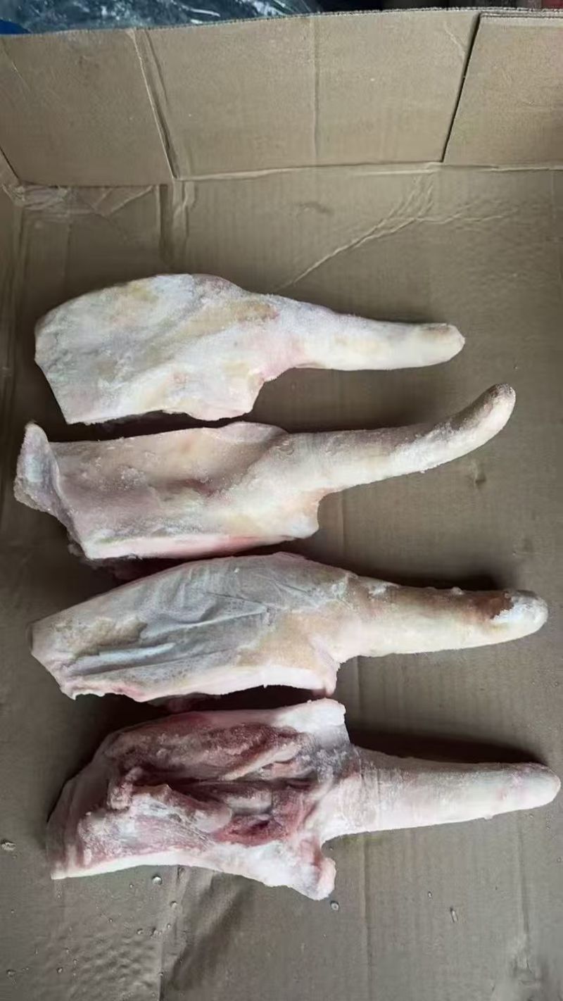 猪尾大量现货量大从优