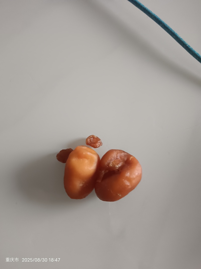 鸡宝