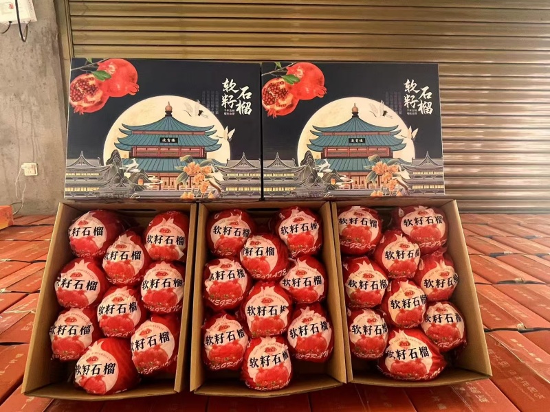 会理突尼斯软子石榴