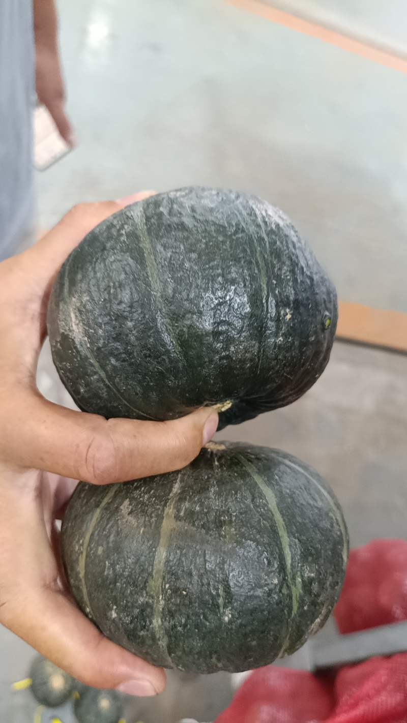 次果贝贝南瓜商超市场批发赶集6两-1.5斤