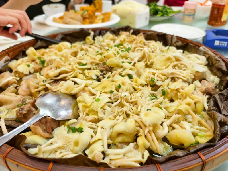 黄金姑