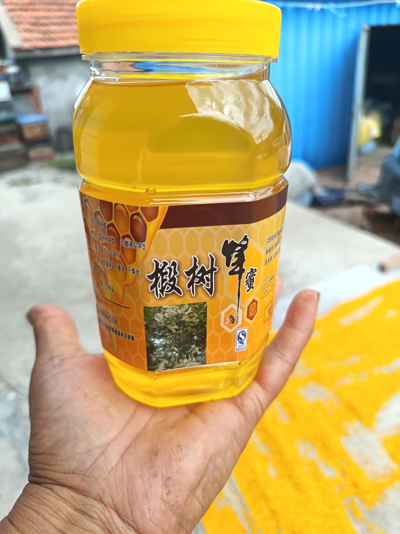 东北野生椴树蜜