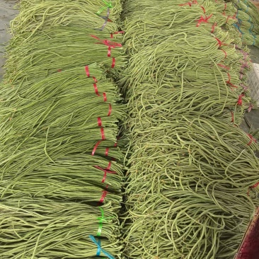豆角品质好又细又长