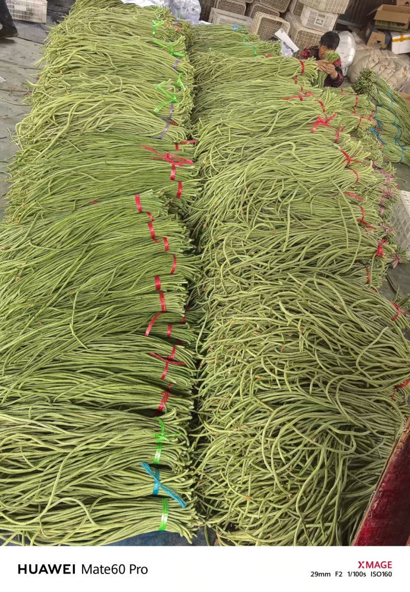 豆角品质好又细又长