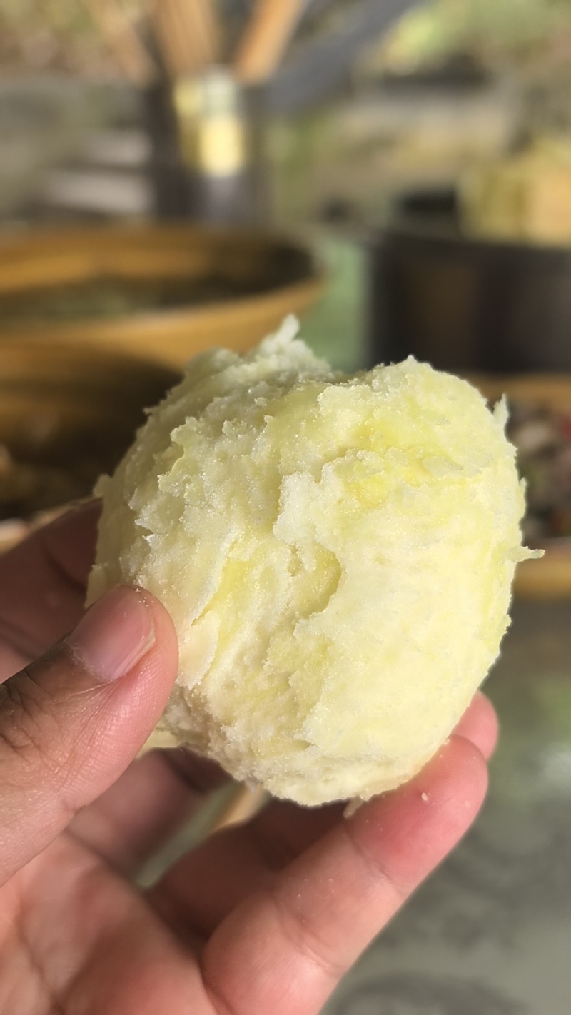 大凉山纯羊粪土豆