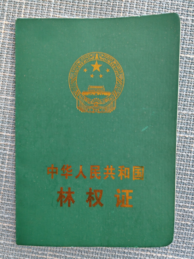 普洱山地