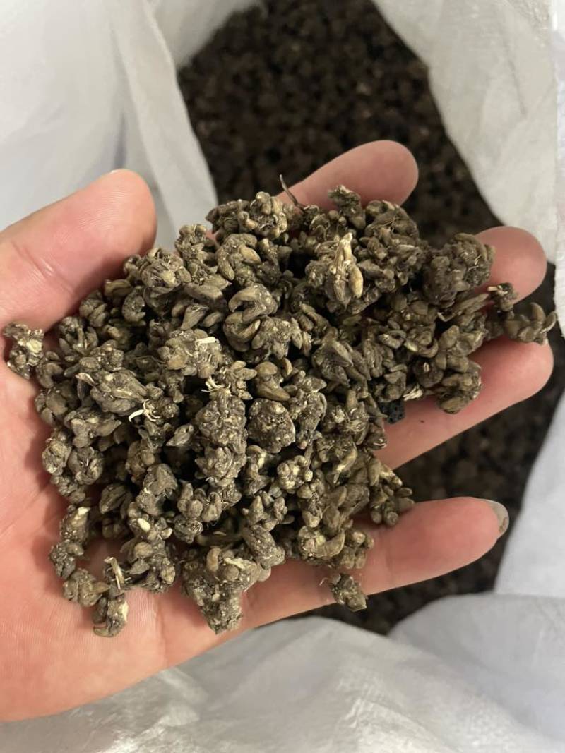 产地猫爪草直发物流快递皆可