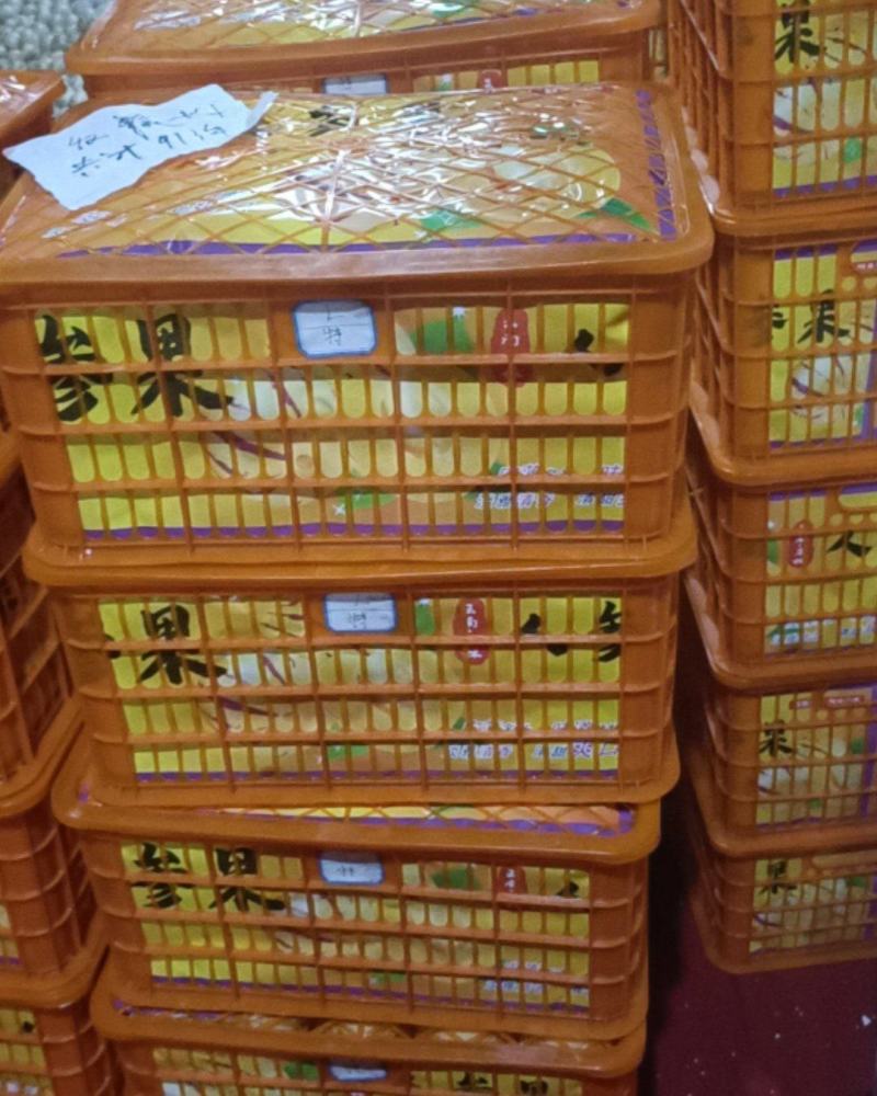 云南自然熟人参果