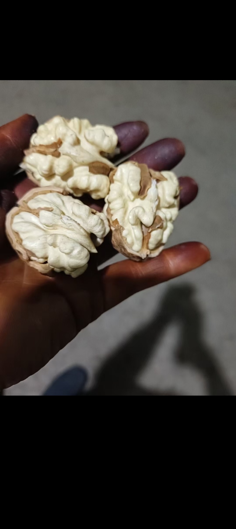 鲜核桃