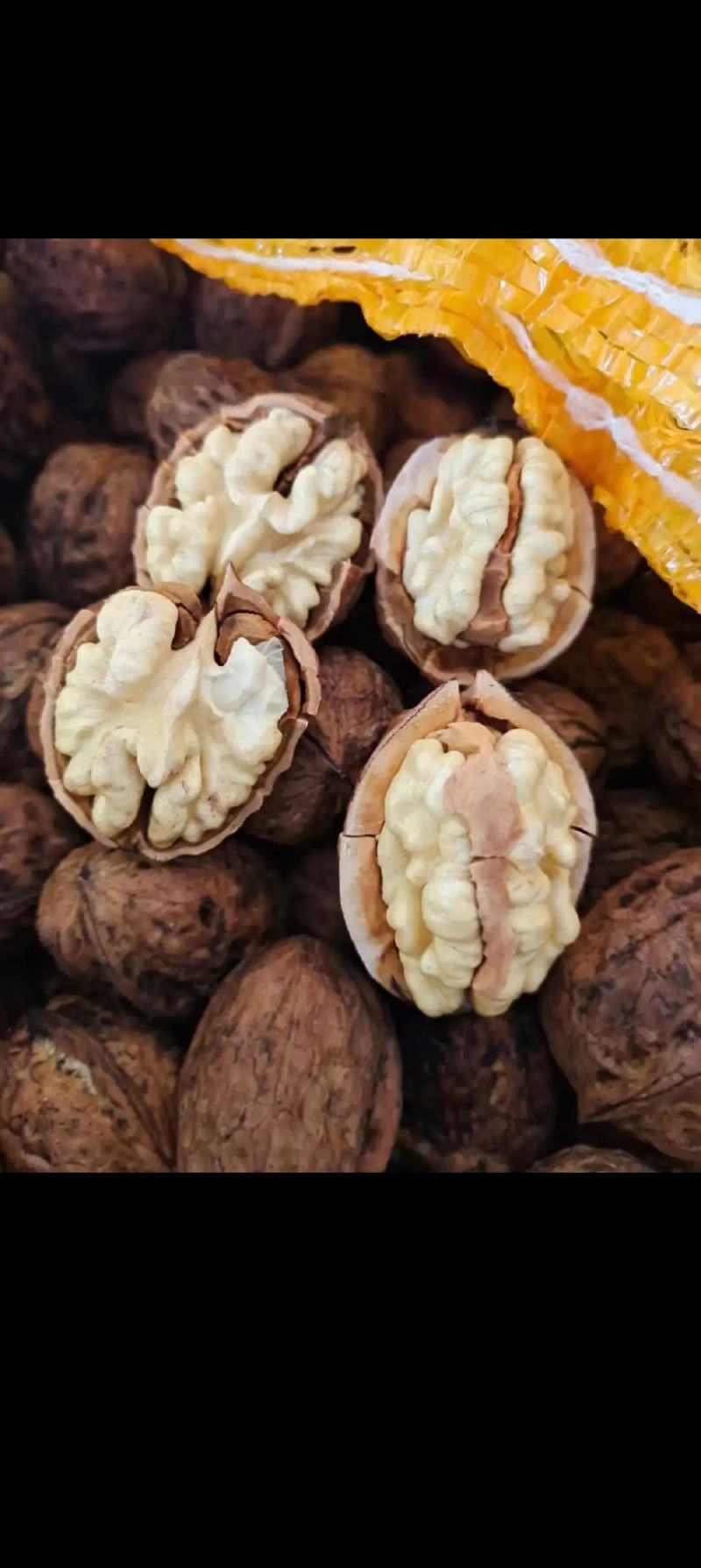 鲜核桃