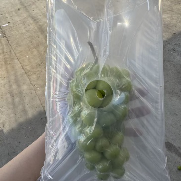 阳光玫瑰，葡萄