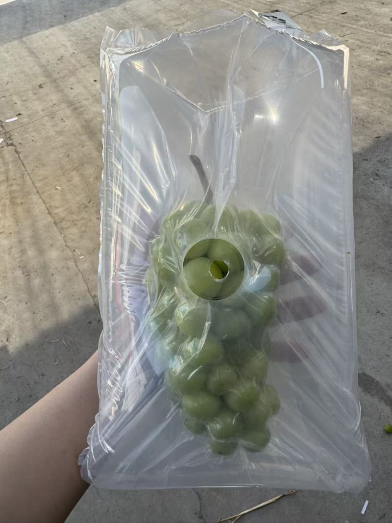 阳光玫瑰，葡萄