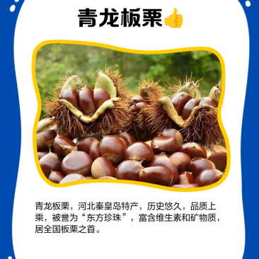青龙板栗