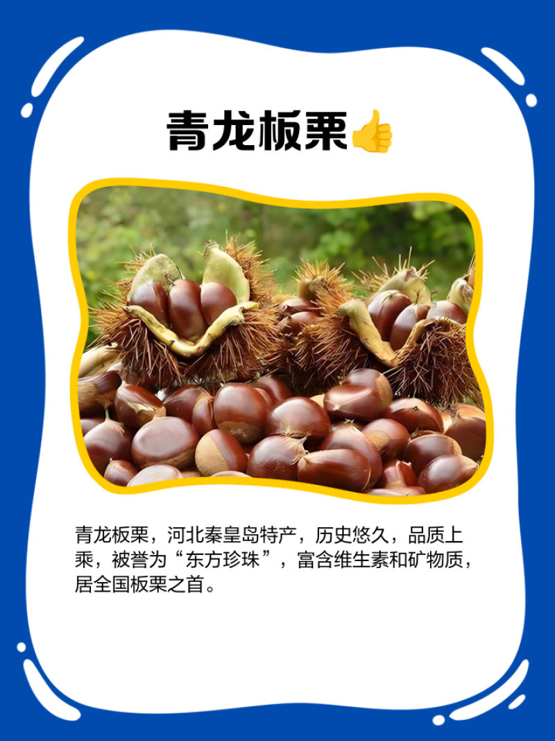 青龙板栗