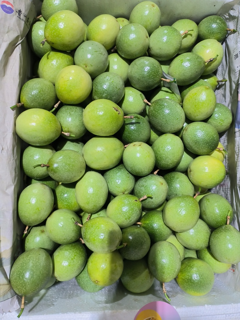 钦蜜9号百香果