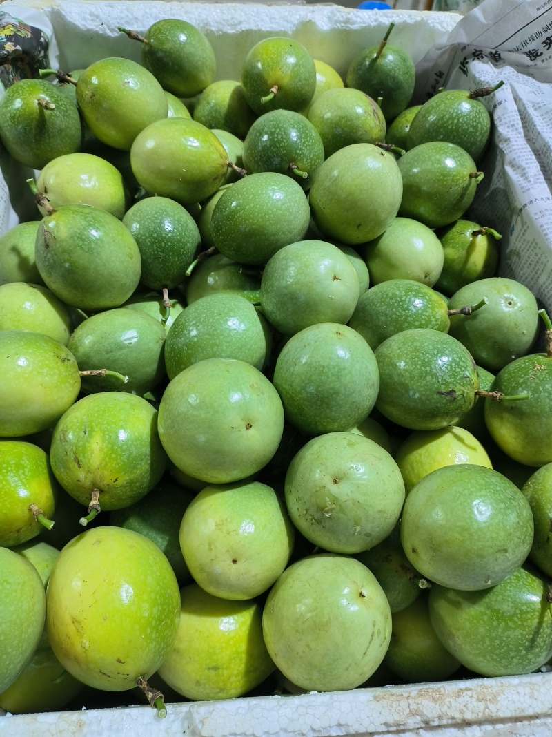 钦蜜9号百香果