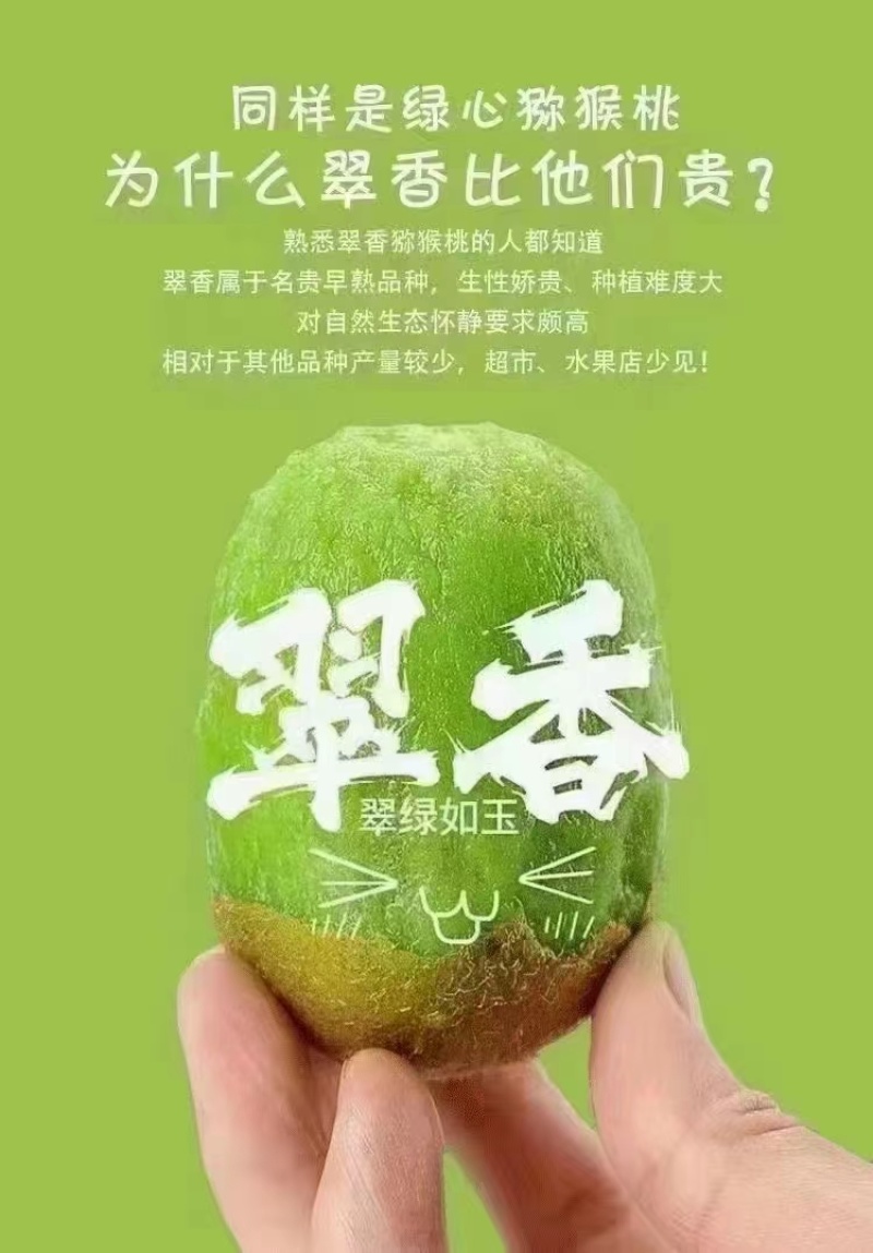 猕猴桃