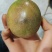 百香果