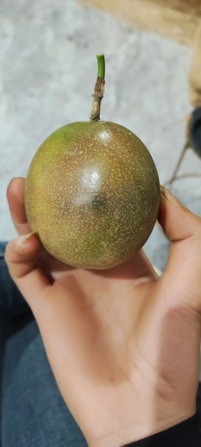 百香果