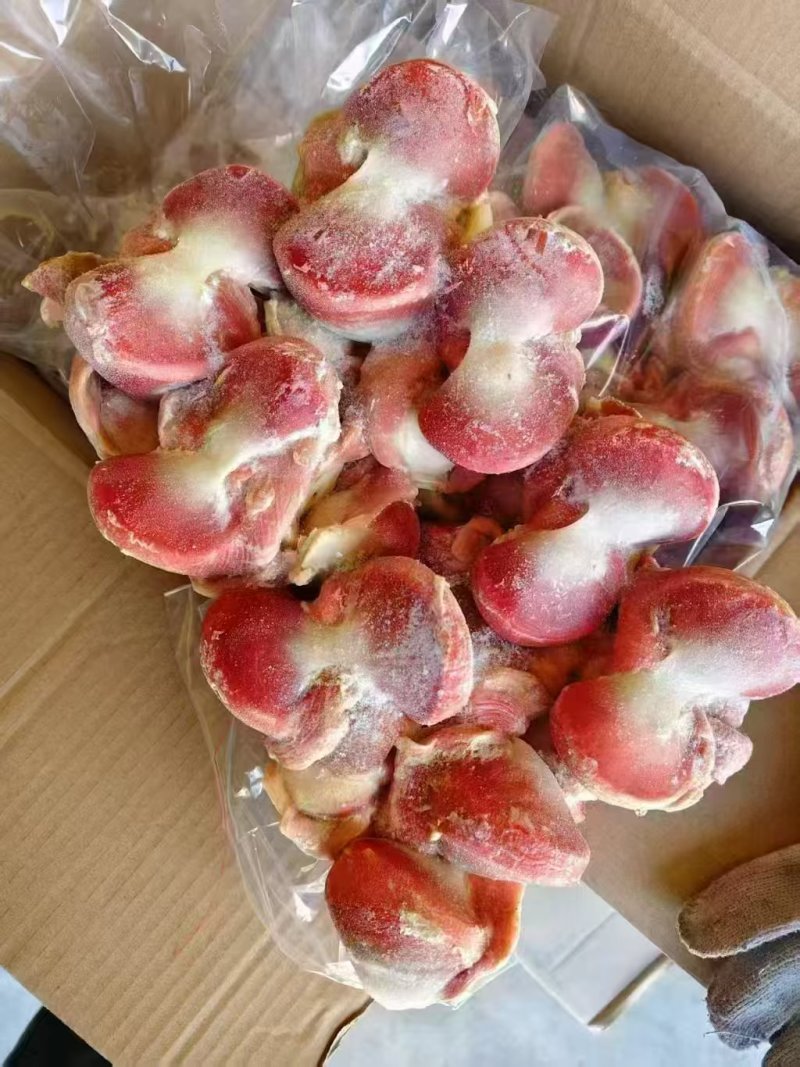 精品老鹅胗